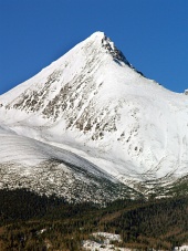 Toppen af Krivan-bjerget om vinteren