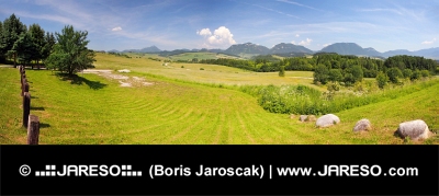 Ein Panorama von Bobrovnik, Liptov, Slowakei