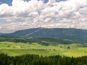 Wald und Kubinska Hola, Slowakei