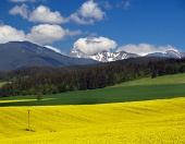 पीली घास का मैदान और Liptov, स्लोवाकिया में पहाड़ों