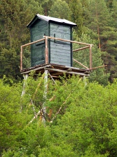 Őrtorony mély erdőben