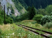 Oude spoorlijn in groen landschap
