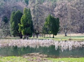 Park en meer in Turcianska Stiavnicka