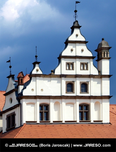 Medieval dachów
