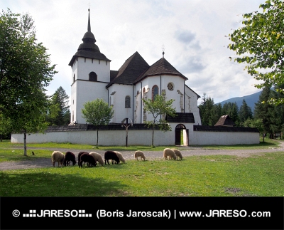 Gotycki kościół w Pribylinie z owcami
