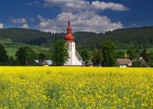 Желтое поле и старая церковь в Липтовске-Матиасовце, Словакия