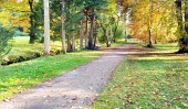 Осенний вид на красочный парк в Турчанской Стявницкой, Словакия