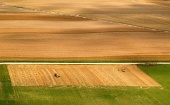 Вид с воздуха на поля летом